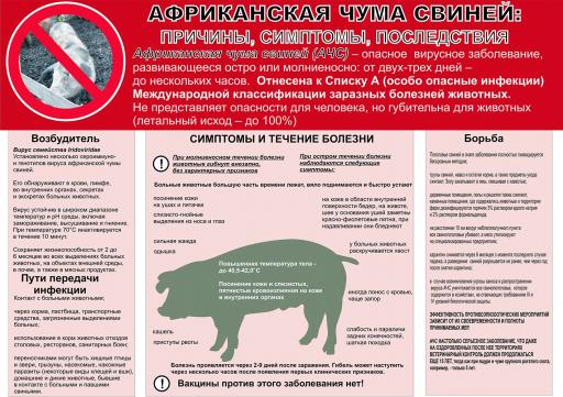 ПАМЯТКА АЧС СВИНЕЙ