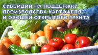 Министерством сельского хозяйства и продовольствия Самарской области в период с 31.03.2025 по 13.04.2025 года объявлены отборы получателей субсидии