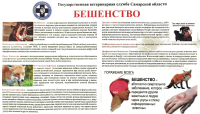 Бешенство. Памятка
