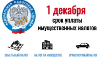 Внимание! 1 декабря 2025 год истекает срок уплаты имущественных налогов!