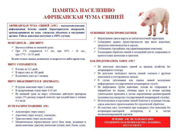Африканская чума свиней (АЧС)