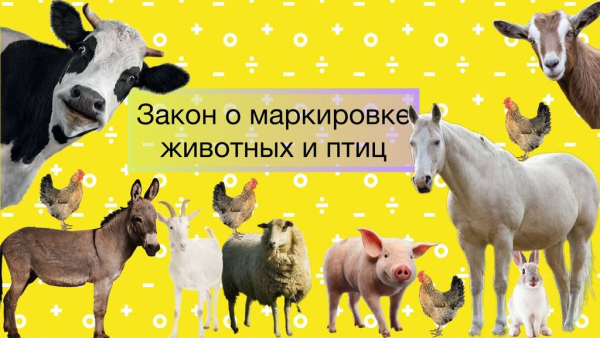 Внимание! О маркировке домашних животных и птиц!