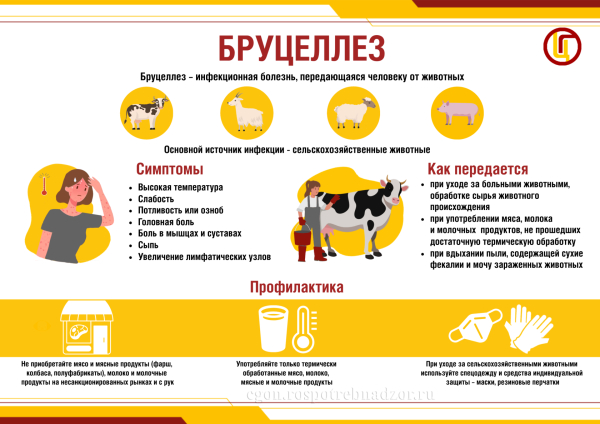 Внимание бруцеллез!