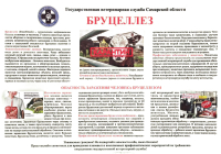 бруцеллез. Памятка